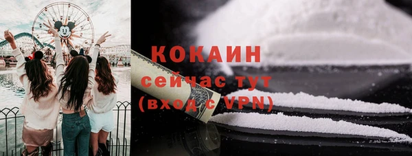 шишки Абинск