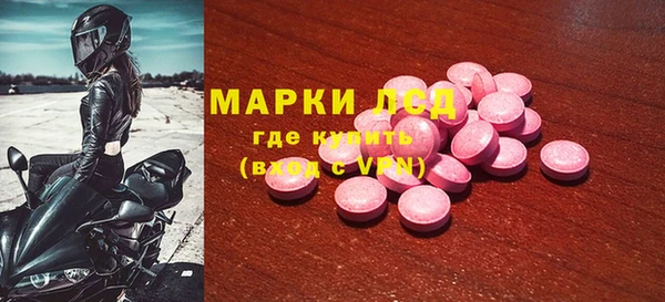 крисы Алзамай