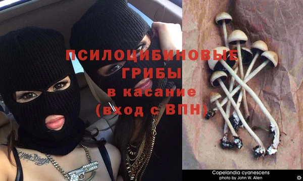 прущий лед Алексеевка