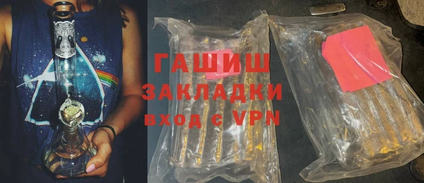 хмурый Пересвет