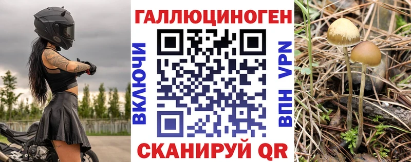 Псилоцибиновые грибы мицелий  купить закладку  Энгельс 