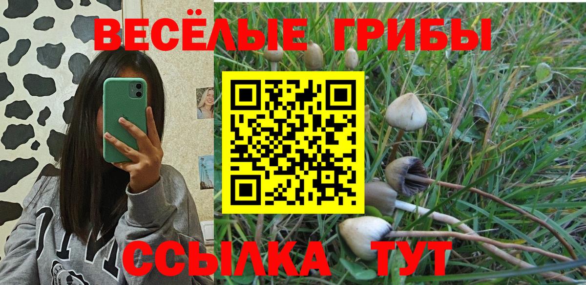 Псилоцибиновые грибы мухоморы  Вход с VPN  Энгельс 