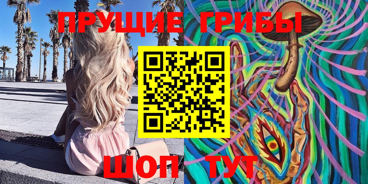 Псилоцибиновые грибы Cubensis Энгельс