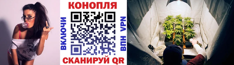 Шишки марихуана THC 21%  Энгельс 