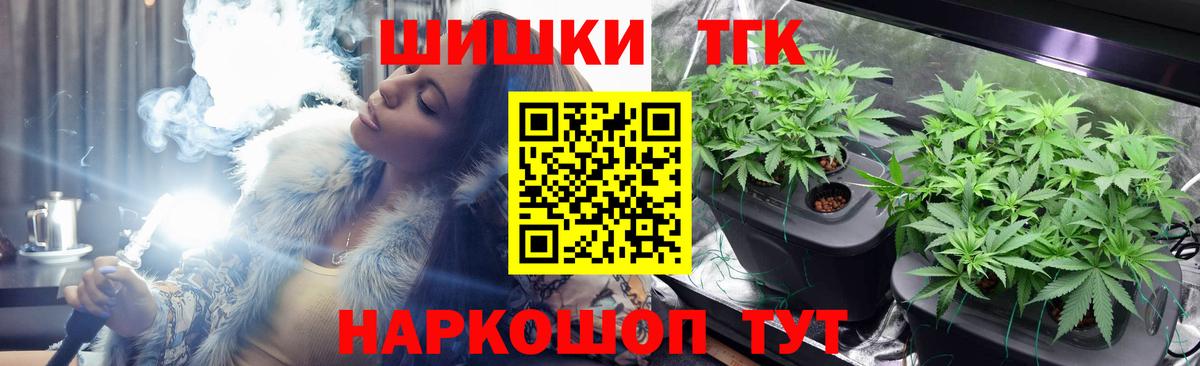 Каннабис сатива Энгельс